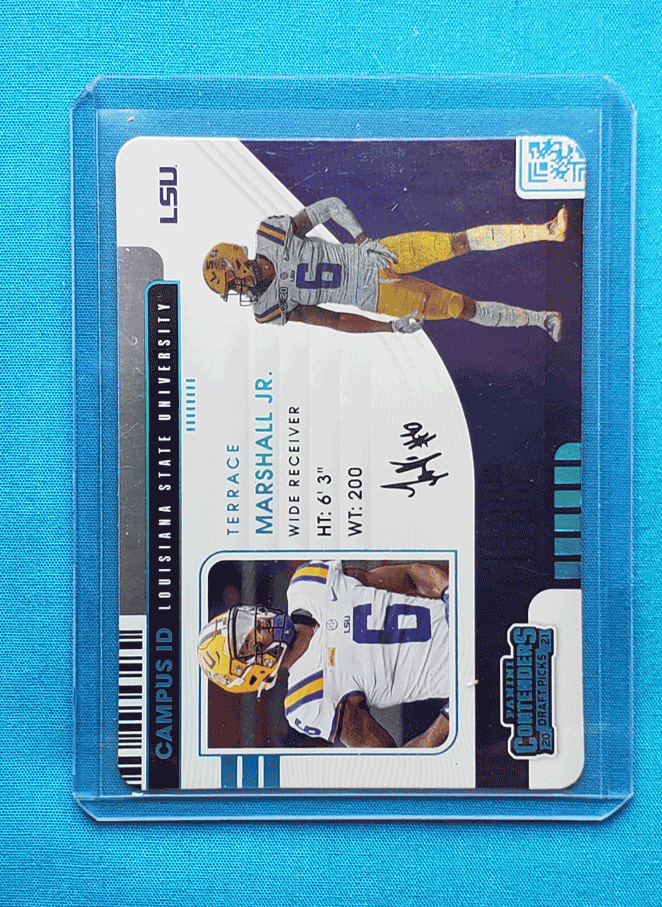 Terrace Marshall Jr.