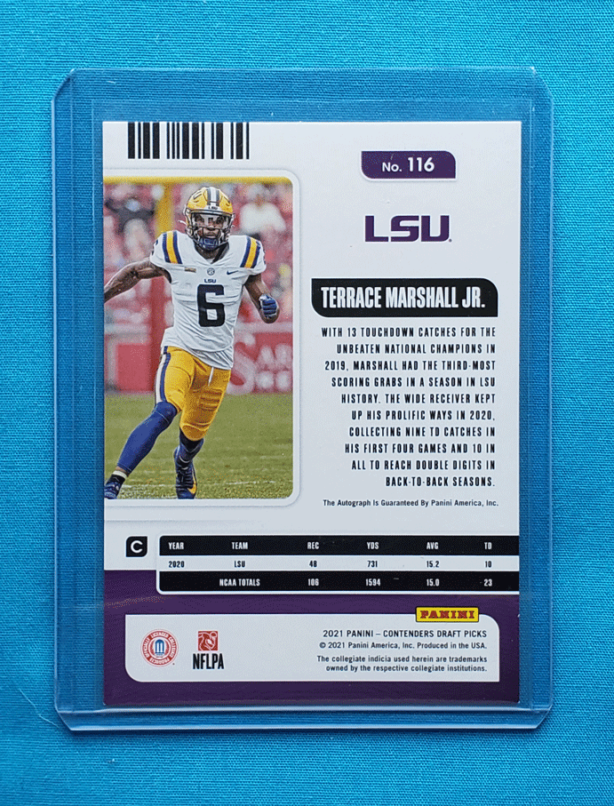 Terrace Marshall Jr.