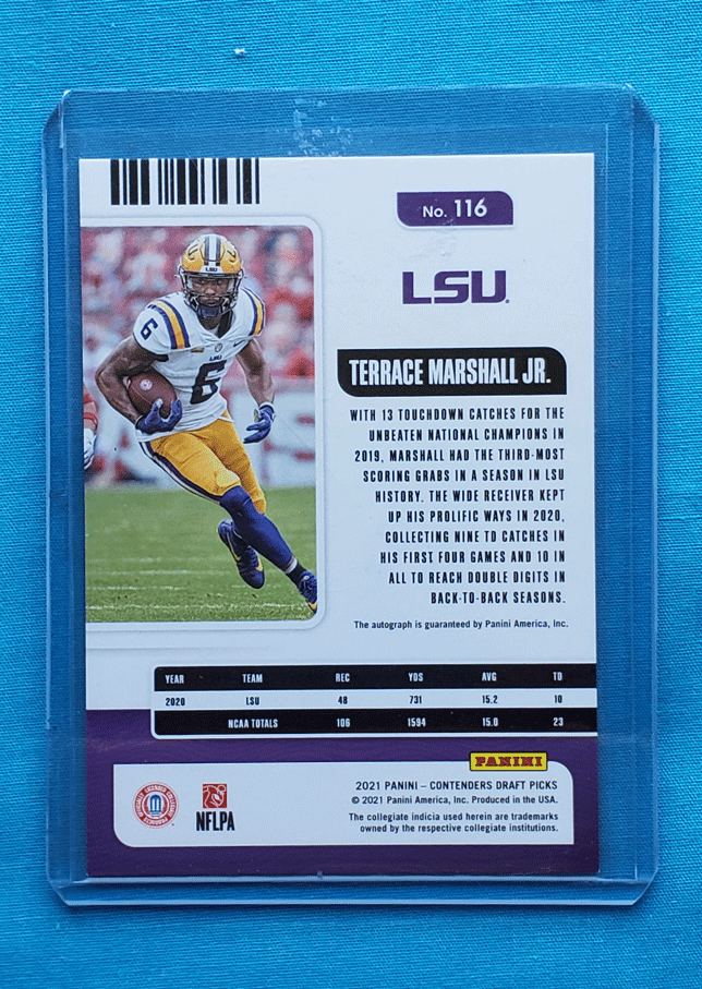 Terrace Marshall Jr.