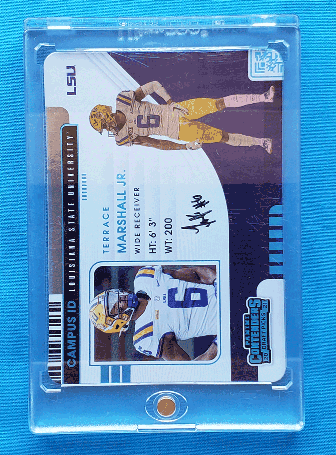 Terrace Marshall Jr.