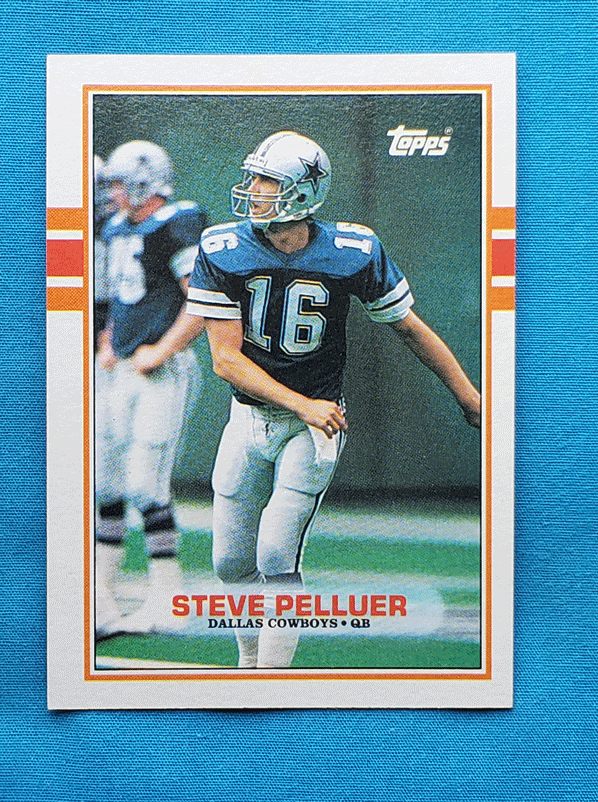 Steve Pelluer