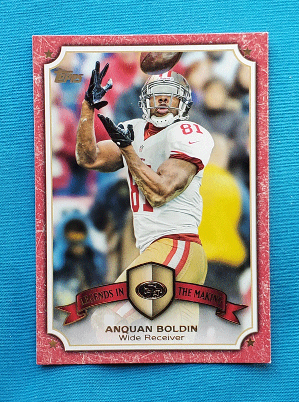 Anquan Boldin