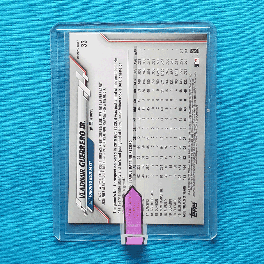 Vladimir Guerrero Jr