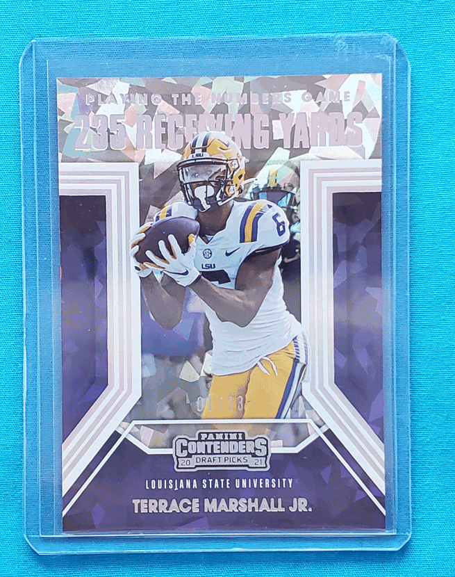 Terrace Marshall Jr.